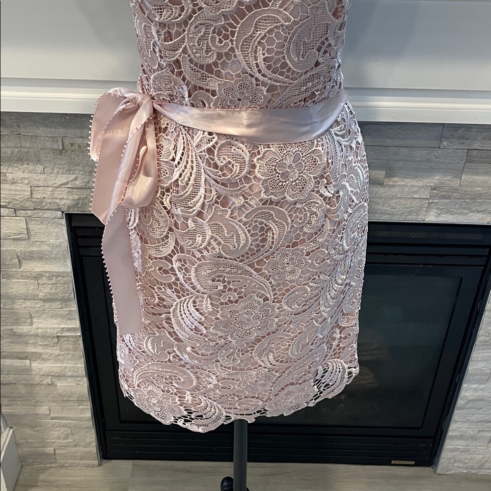 Adrianna Papell Lace Cap-Sleeve Illusion Sheath Dress Size 4 - Picture 5 of 8